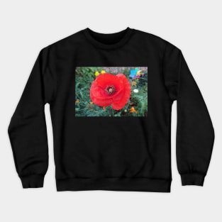 Red poppy photo Crewneck Sweatshirt